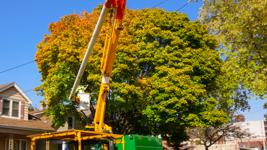 A Bratt Tree truck with bucket attachment in front of a large tree partly turning yellow, in front of a small tan house.